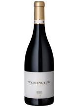 2018 Merlot ✯✯✯ trocken Weinfactum