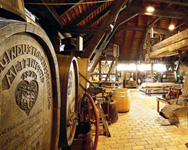 Metzingen im Ermstal - Excellente Weine seit 700 Jahren!
